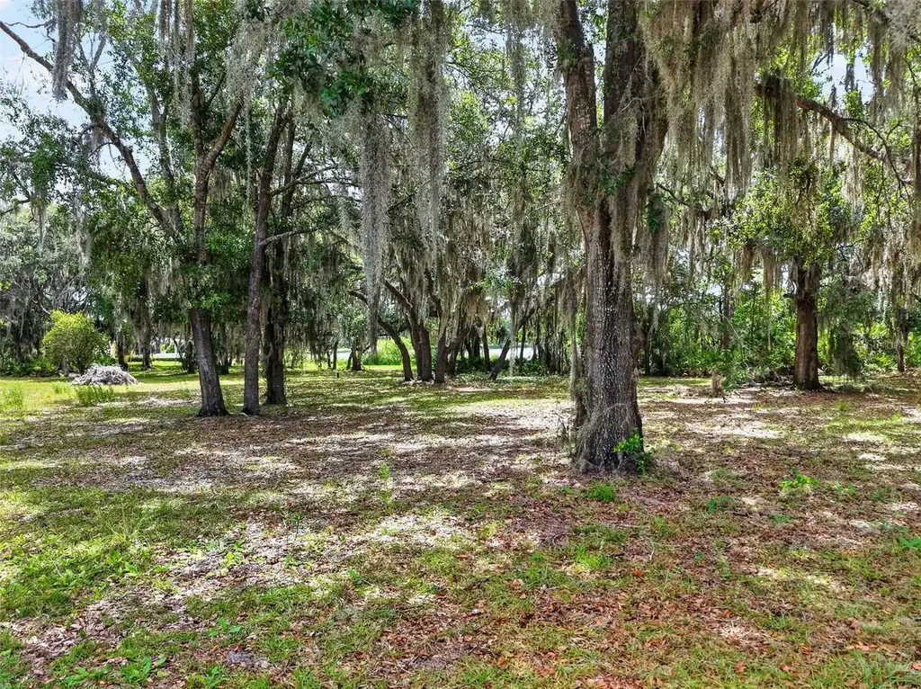 493 Malauka Loop Ocklawaha FL 32179