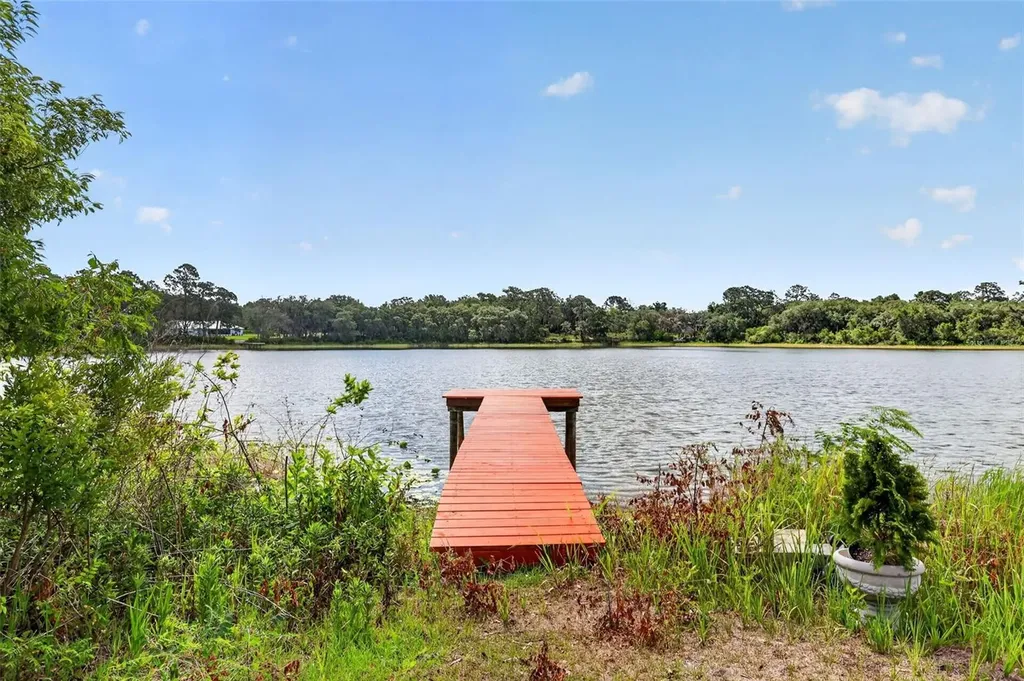 493 Malauka Loop Ocklawaha FL 32179