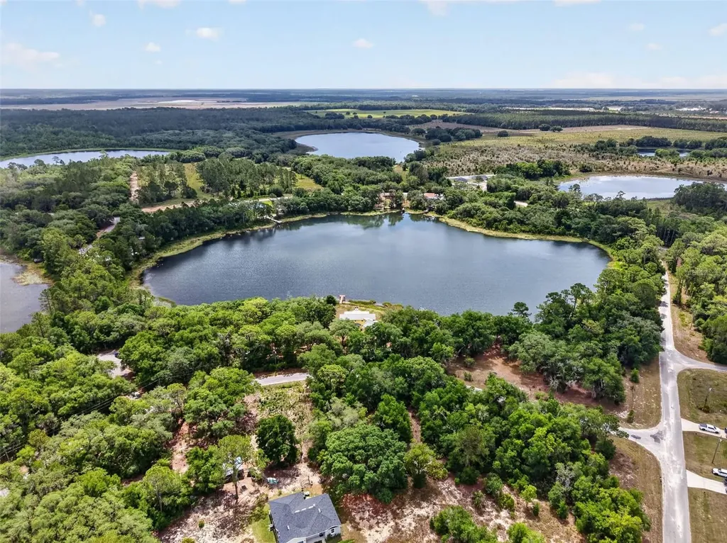 493 Malauka Loop Ocklawaha FL 32179
