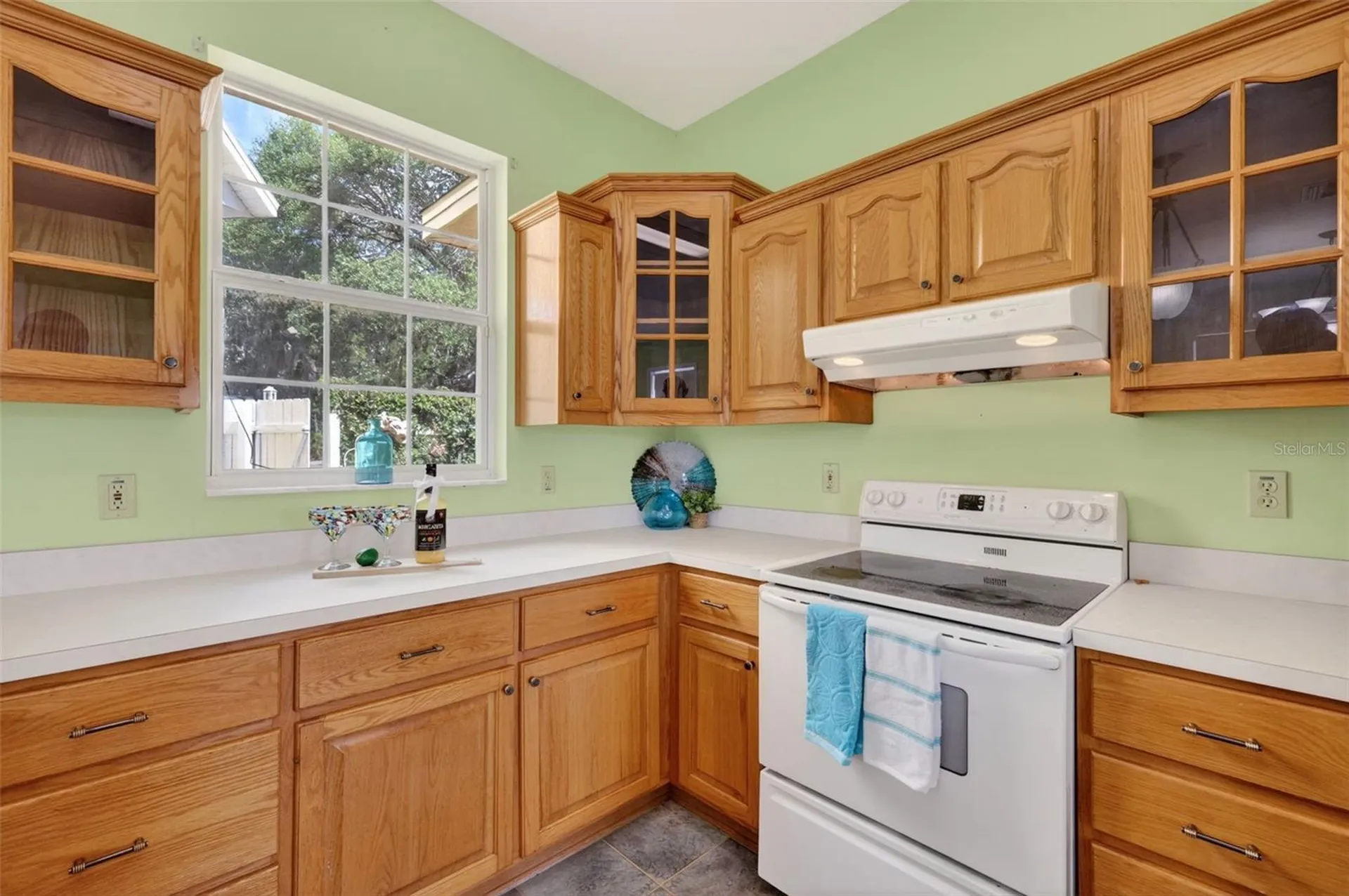 493 Malauka Loop Ocklawaha FL 32179
