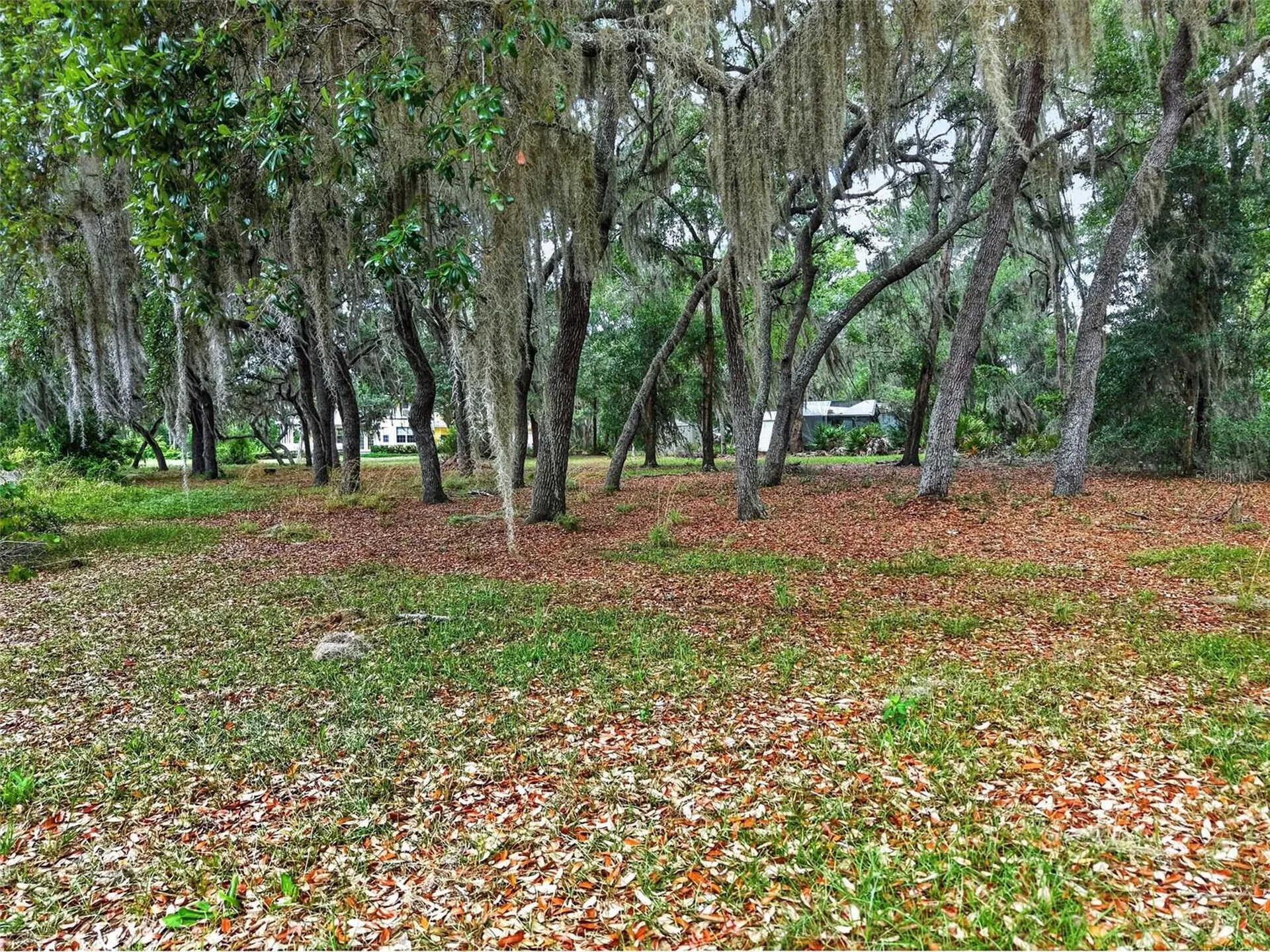 493 Malauka Loop Ocklawaha FL 32179