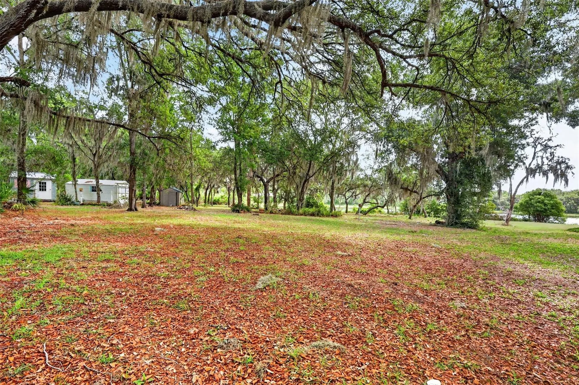 493 Malauka Loop Ocklawaha FL 32179