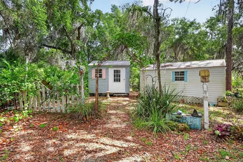 493 Malauka Loop Ocklawaha FL 32179