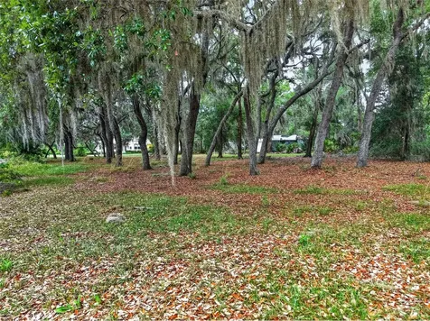 493 Malauka Loop Ocklawaha FL 32179