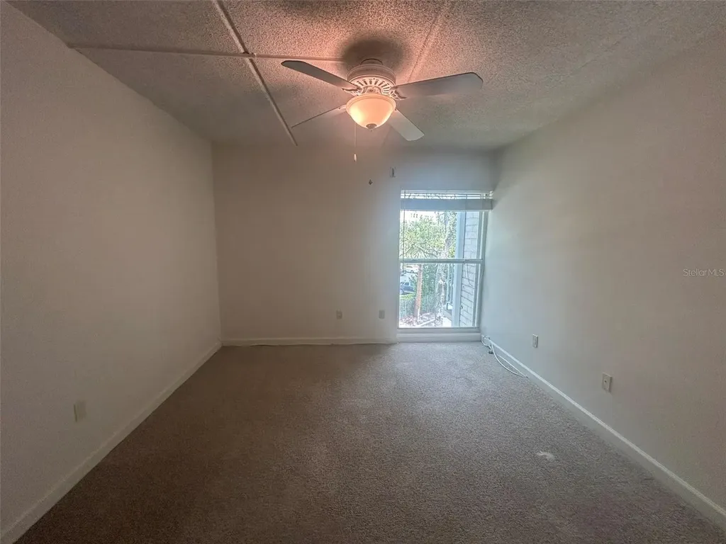 3325 Bayshore Blvd Bayshore Blvd Boulevard SE Tampa FL 33629