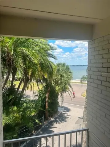 3325 Bayshore Blvd Bayshore Blvd Boulevard SE Tampa FL 33629