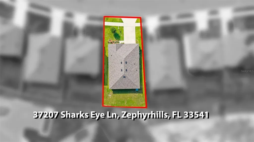 37207 Sharks Eye Lane Zephyrhills FL 33541