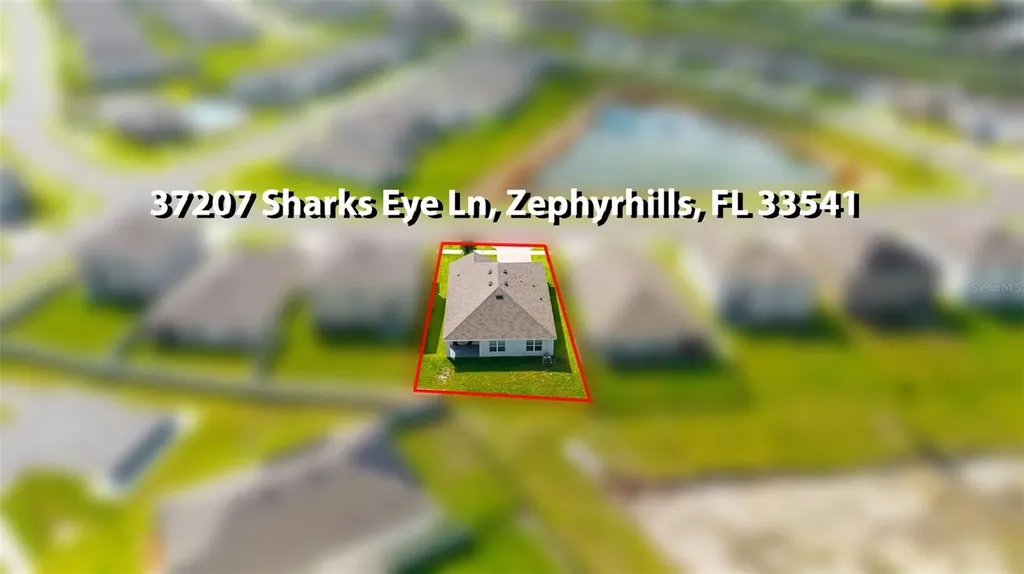 37207 Sharks Eye Lane Zephyrhills FL 33541