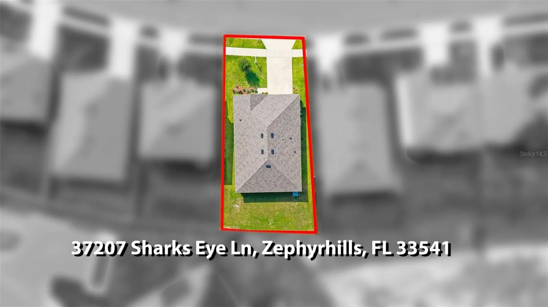 37207 Sharks Eye Lane Zephyrhills FL 33541