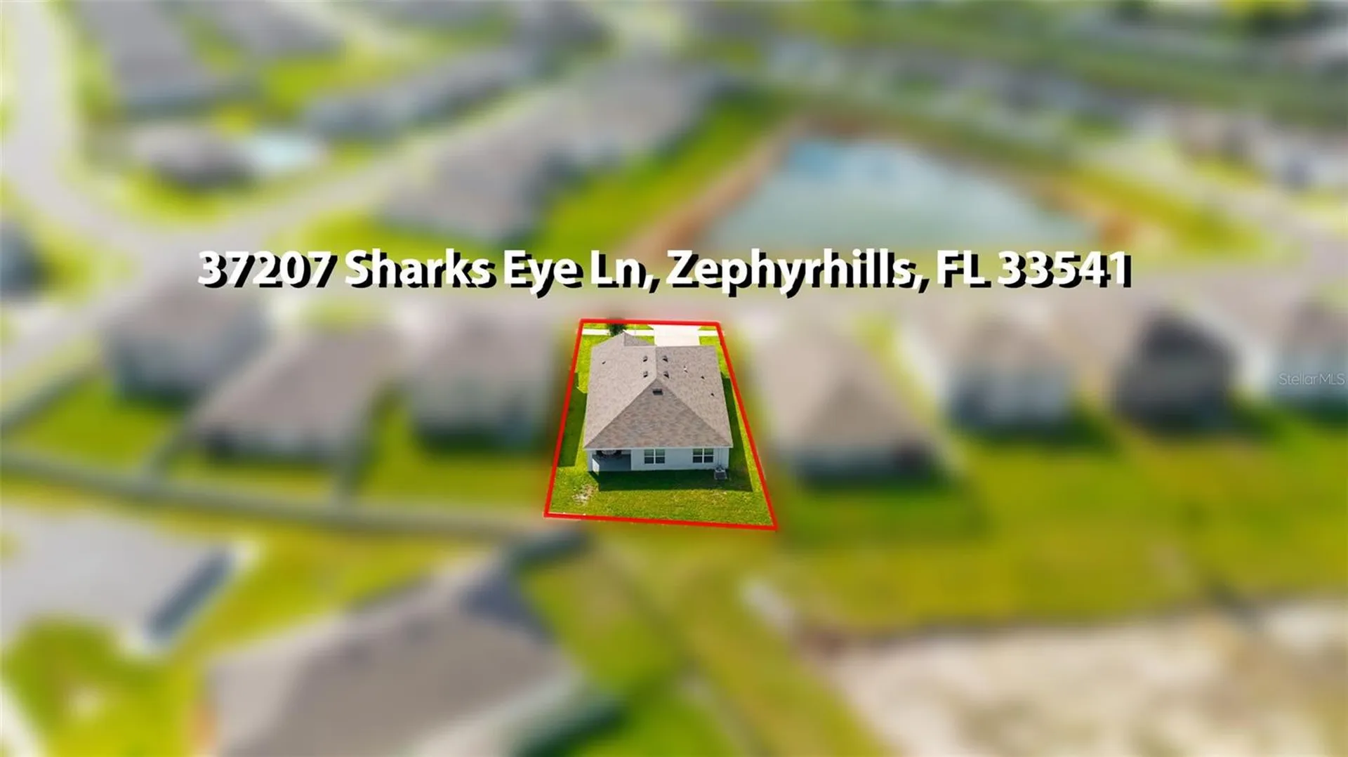 37207 Sharks Eye Lane Zephyrhills FL 33541