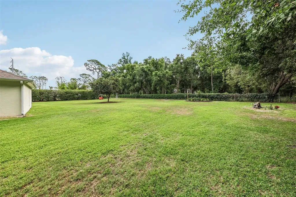 19200 Lake Swatara Drive Eustis FL 32736