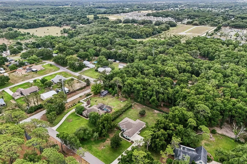 19200 Lake Swatara Drive Eustis FL 32736