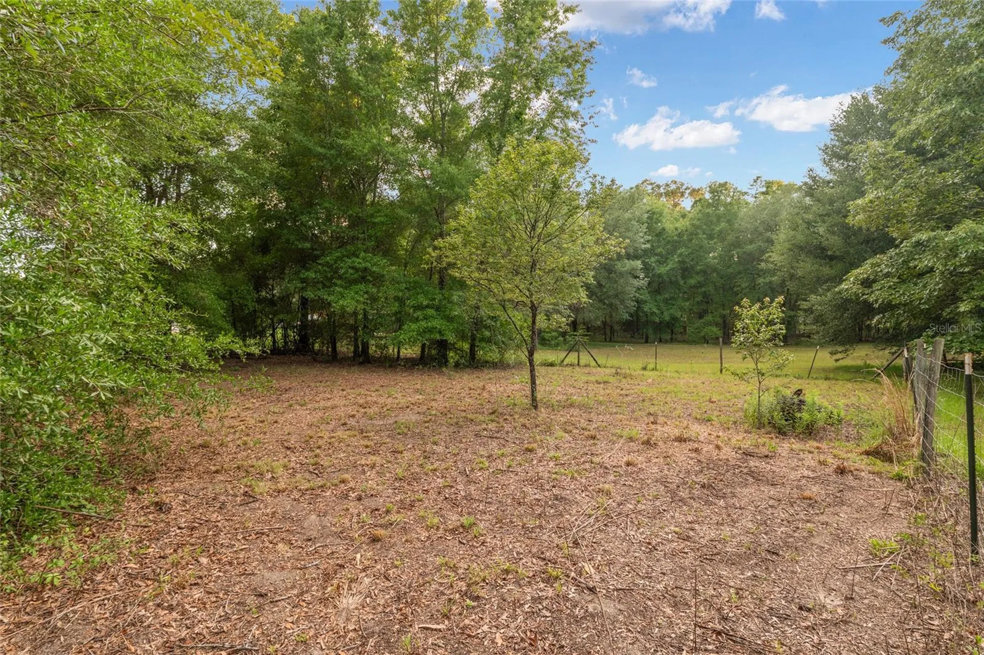4912 NW 170th Street Alachua FL 32615