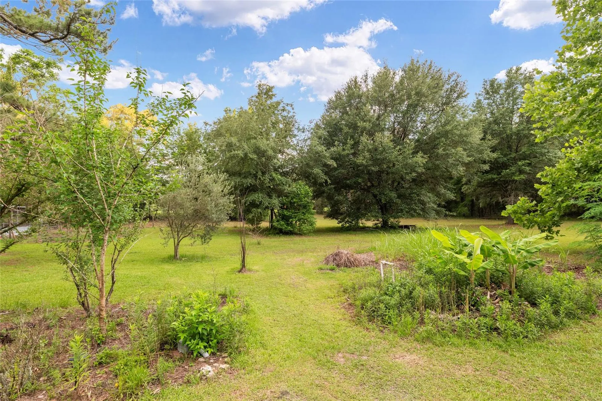 4912 NW 170th Street Alachua FL 32615