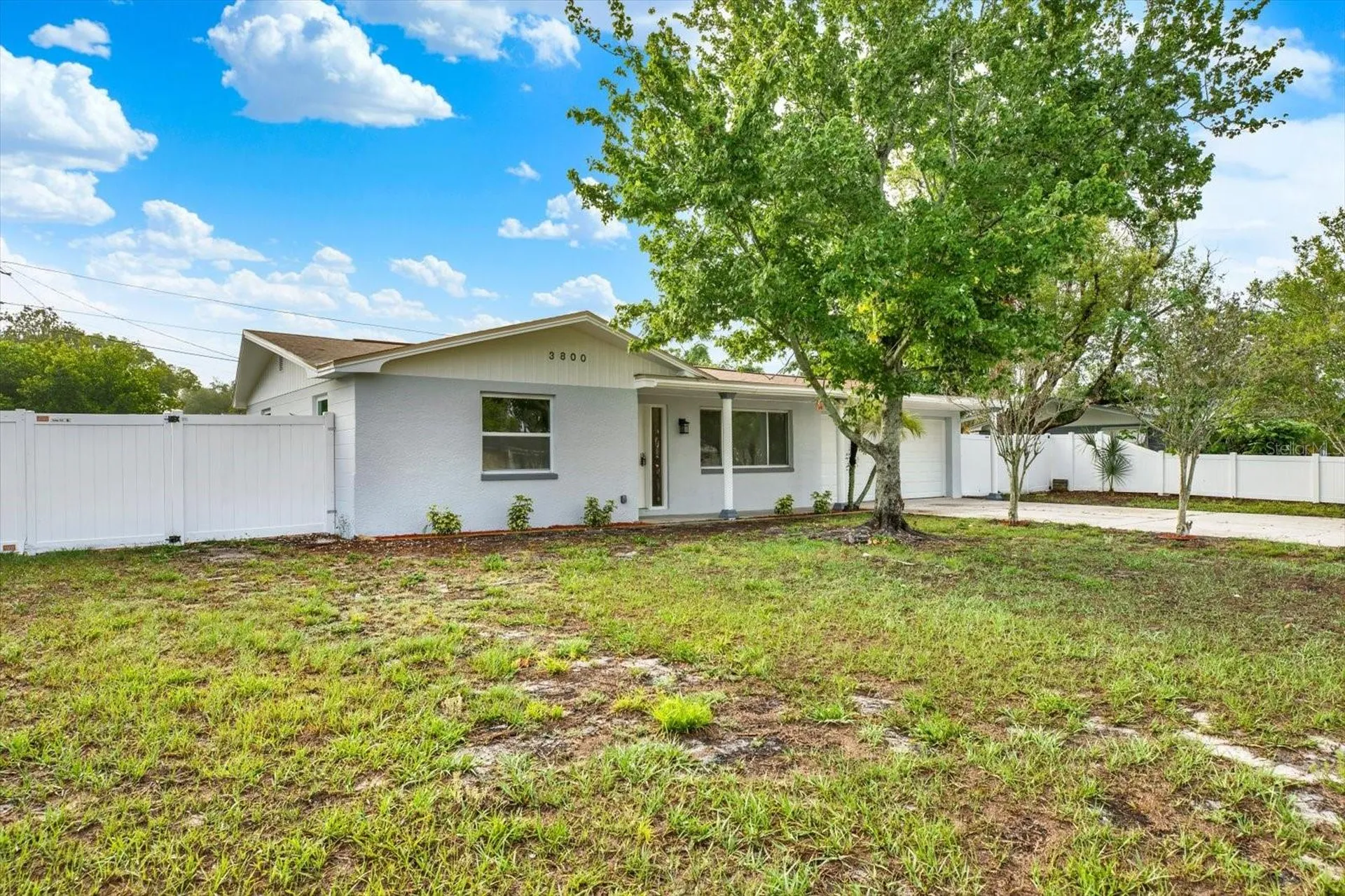 3800 Linkwood Street New Port Richey FL 34652