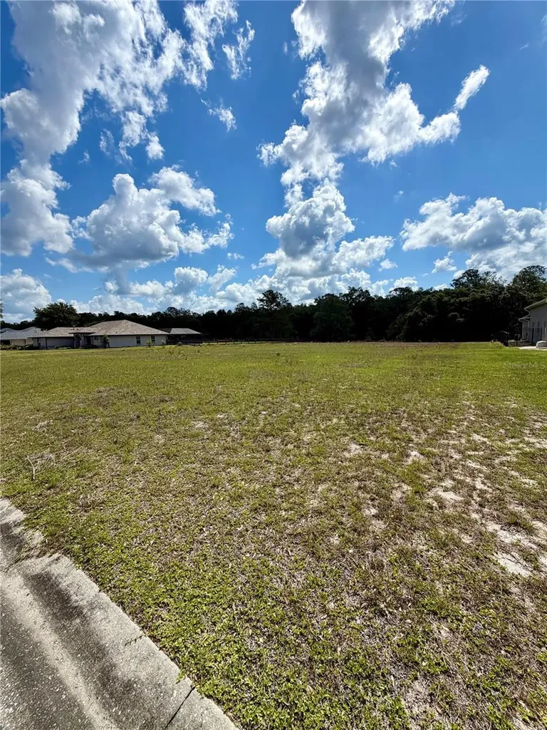 Tbd NE 64 Avenue Silver Springs FL 34488