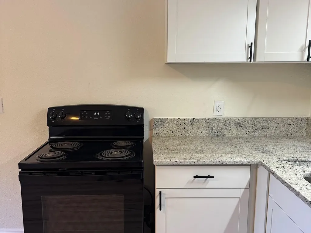 623 Beckett Way Tarpon Springs FL 34689