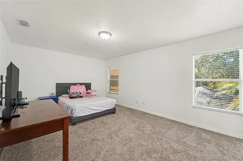 2436 Spring Hollow Loop Wesley Chapel FL 33544