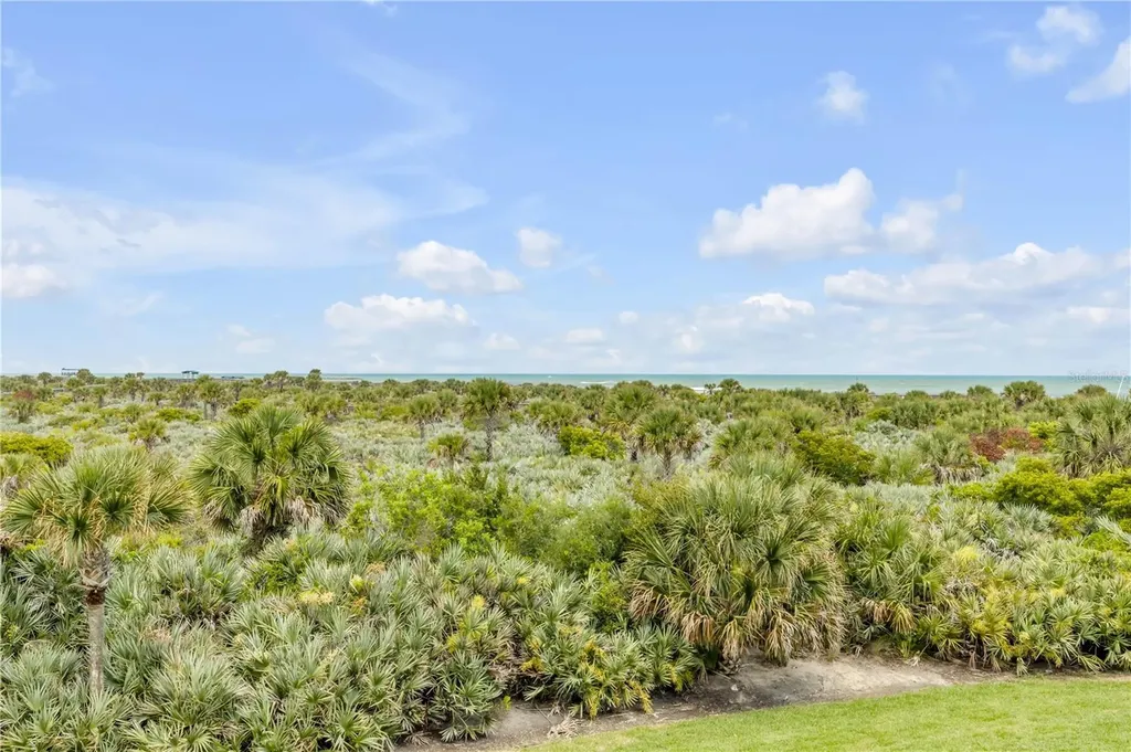 257 Minorca Beach Way New Smyrna Beach FL 32169
