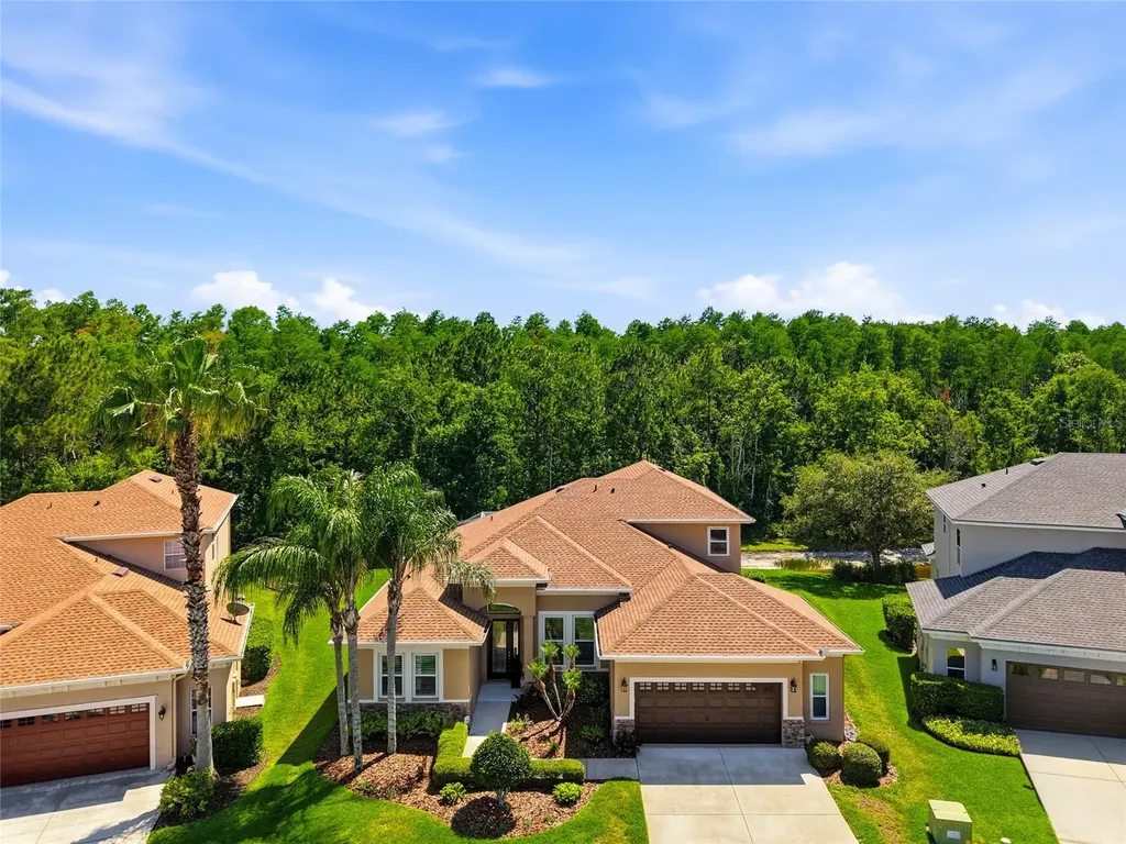 3320 Grassglen Place Wesley Chapel FL 33544