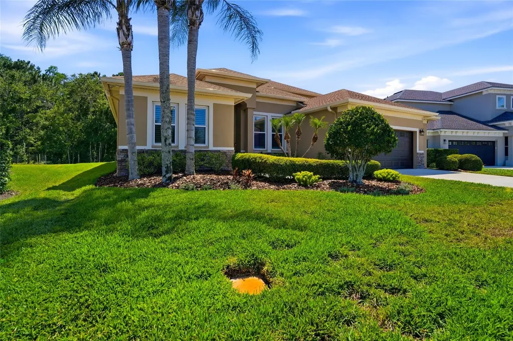 3320 Grassglen Place Wesley Chapel FL 33544