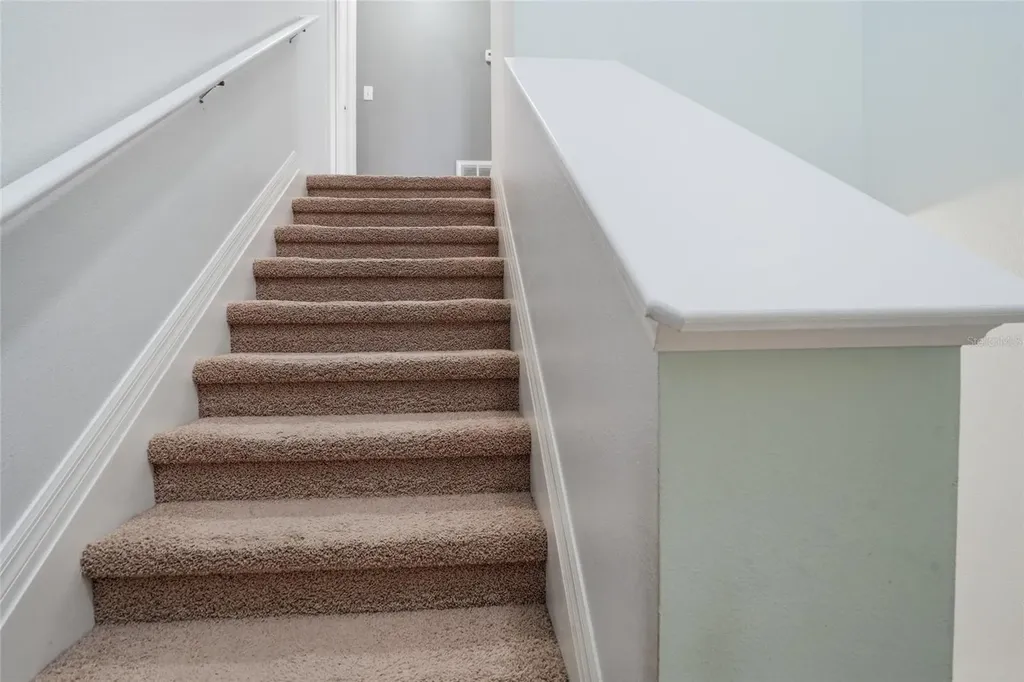 3320 Grassglen Place Wesley Chapel FL 33544