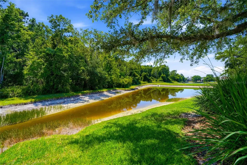 3320 Grassglen Place Wesley Chapel FL 33544