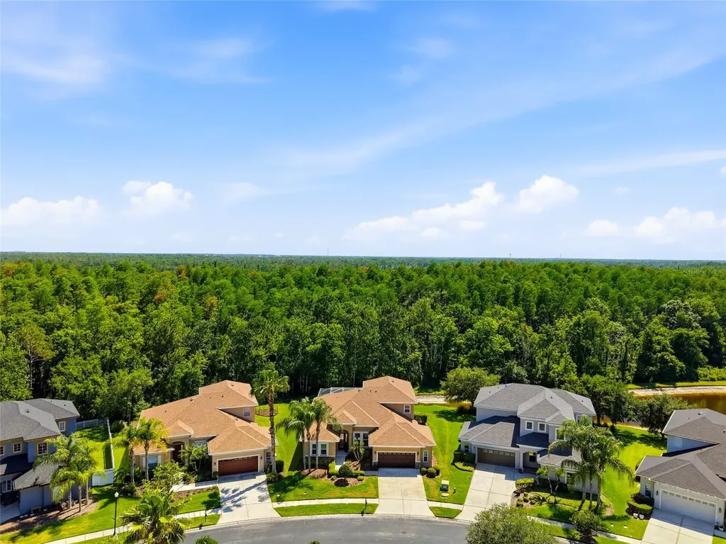 3320 Grassglen Place Wesley Chapel FL 33544