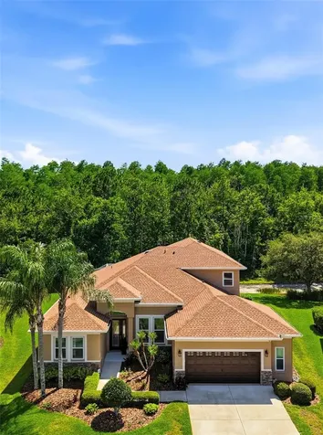 3320 Grassglen Place Wesley Chapel FL 33544