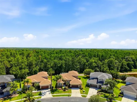 3320 Grassglen Place Wesley Chapel FL 33544