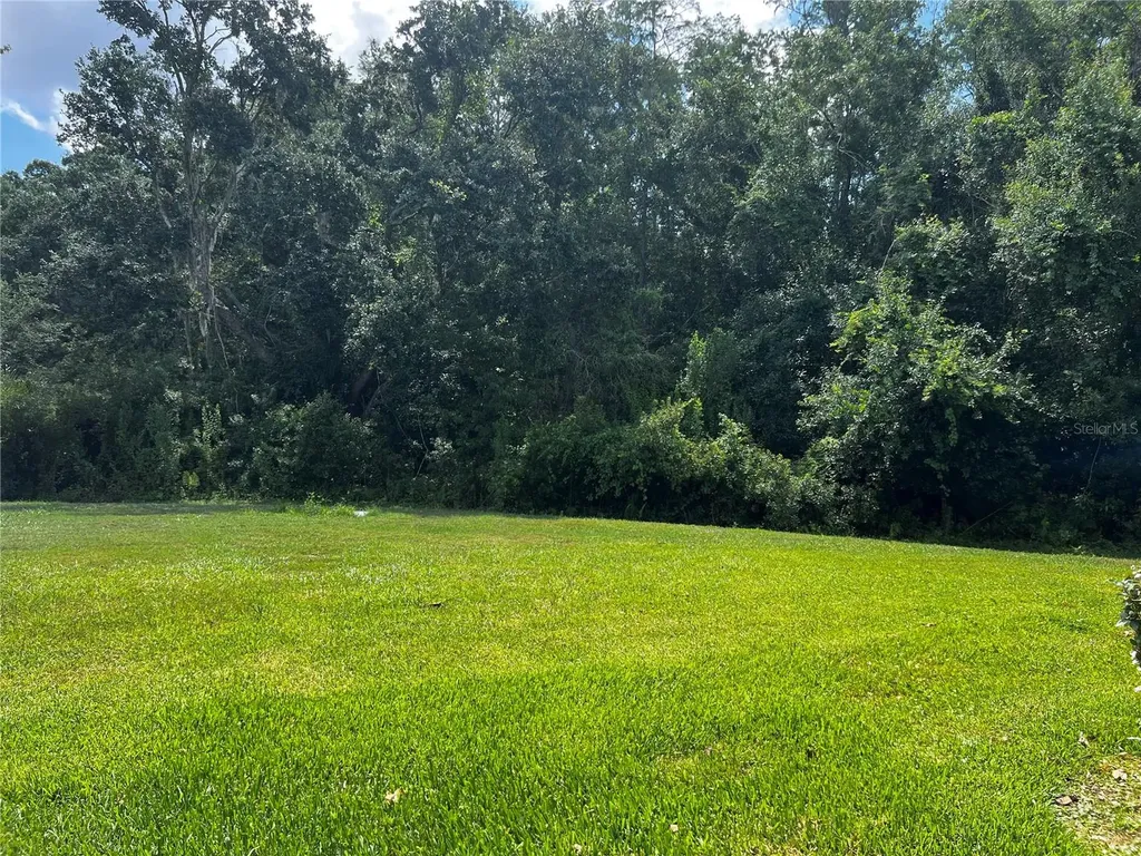 2966 Deer Pine Trail Land O Lakes FL 34638