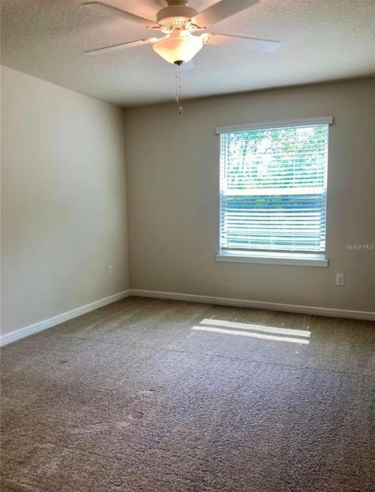 2966 Deer Pine Trail Land O Lakes FL 34638