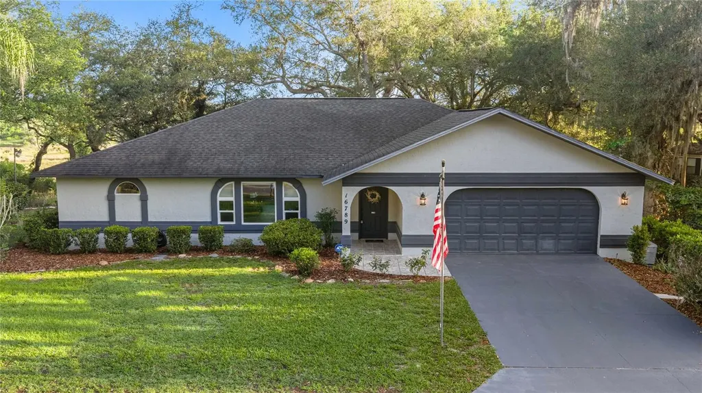 16789 SE 69th Lane Ocklawaha FL 32179