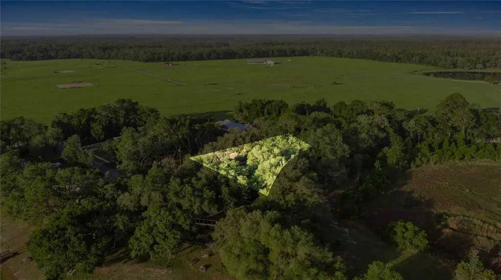 16789 SE 69th Lane Ocklawaha FL 32179