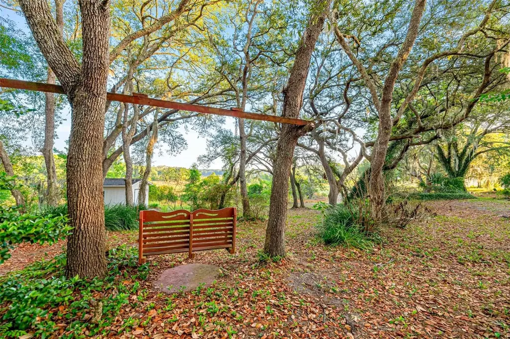 16789 SE 69th Lane Ocklawaha FL 32179