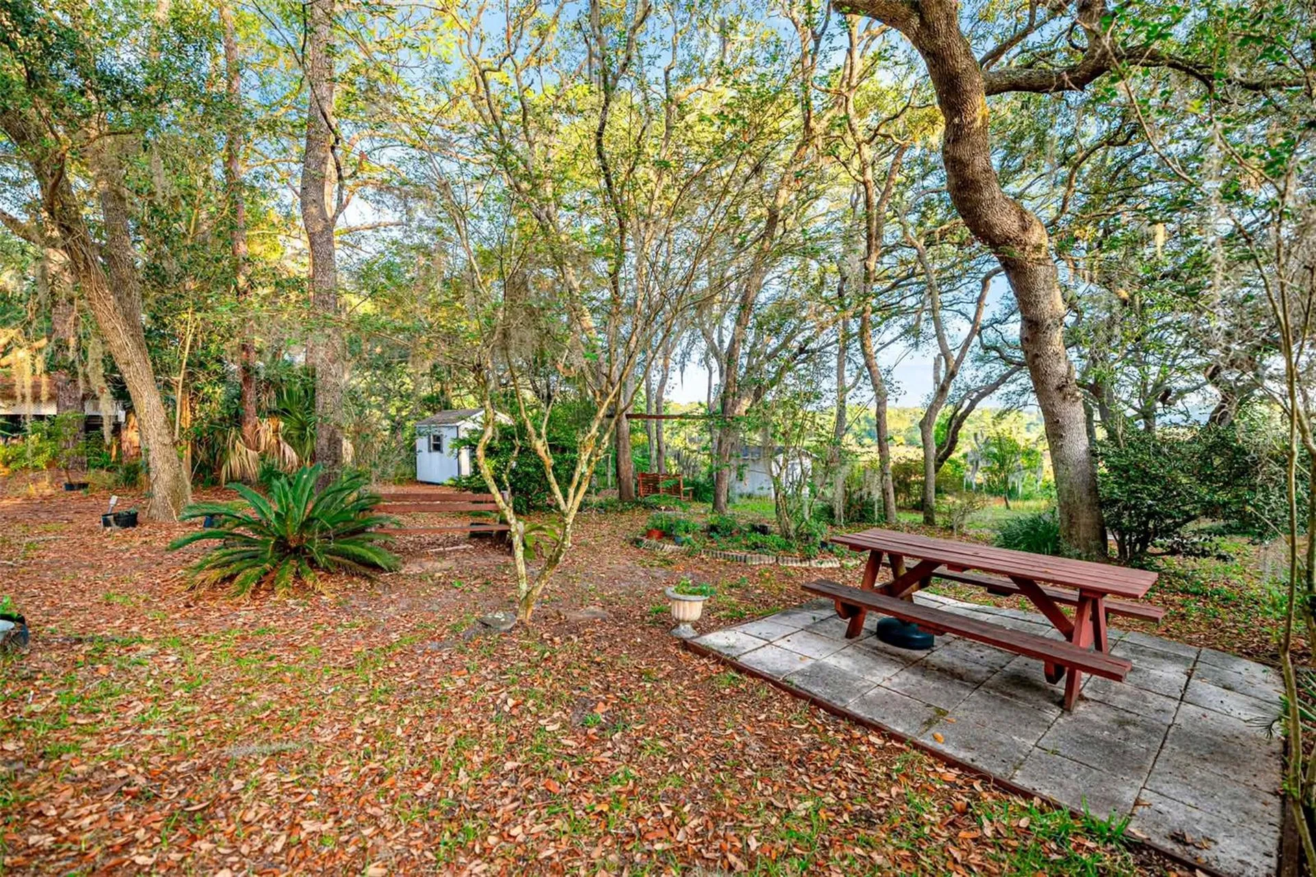 16789 SE 69th Lane Ocklawaha FL 32179