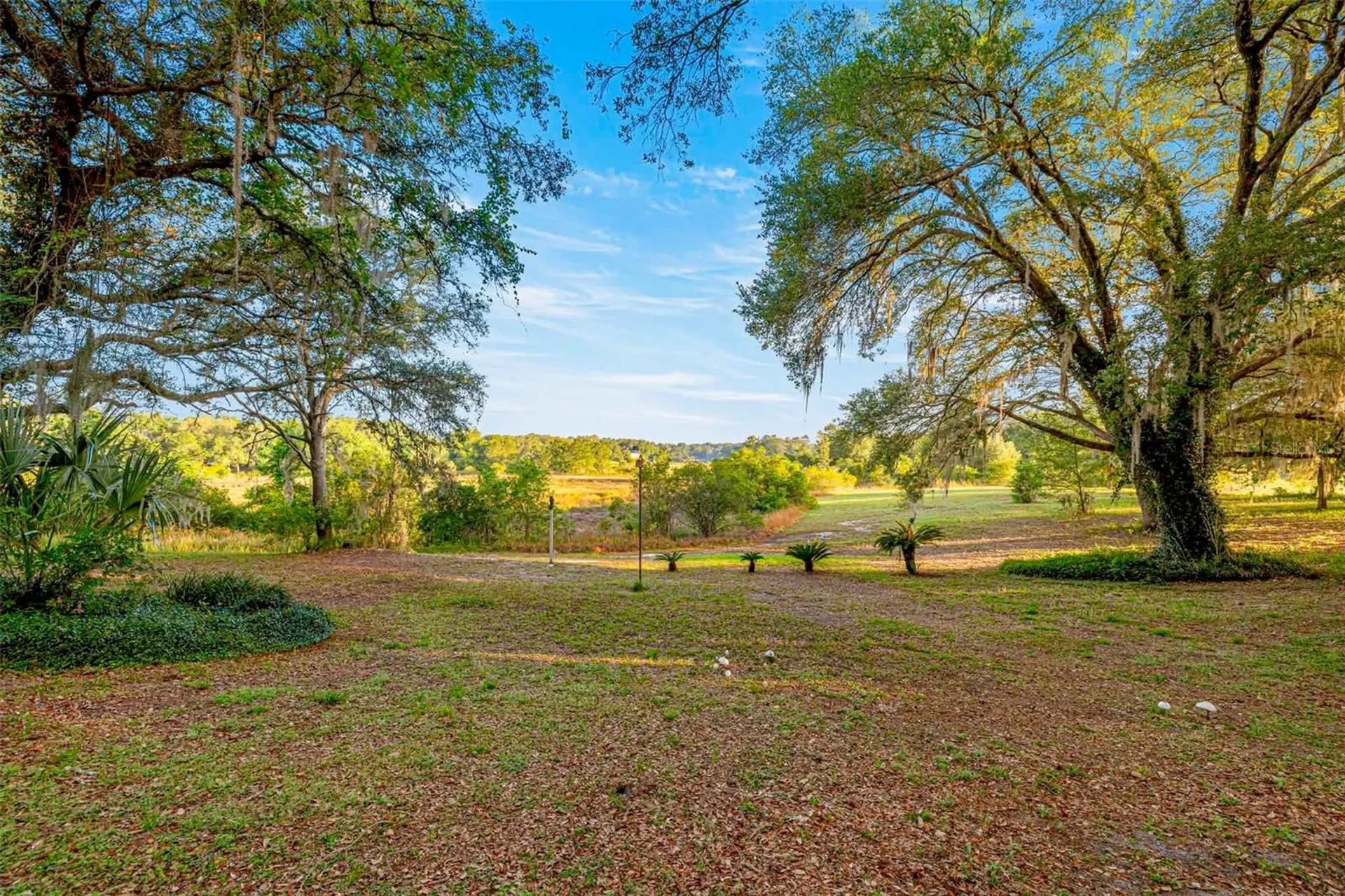 16789 SE 69th Lane Ocklawaha FL 32179