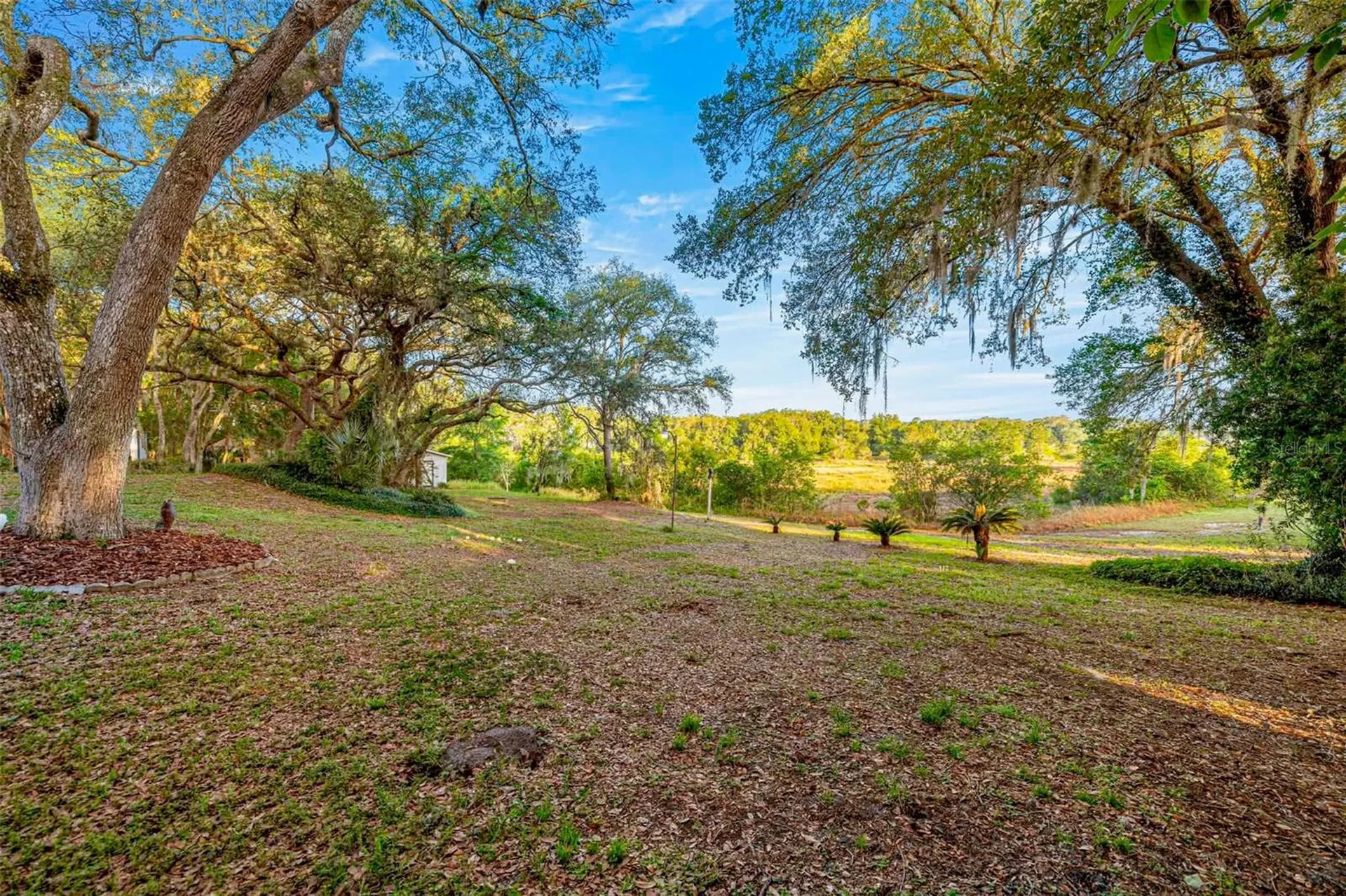 16789 SE 69th Lane Ocklawaha FL 32179