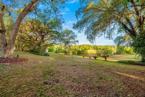 16789 SE 69th Lane Ocklawaha FL 32179