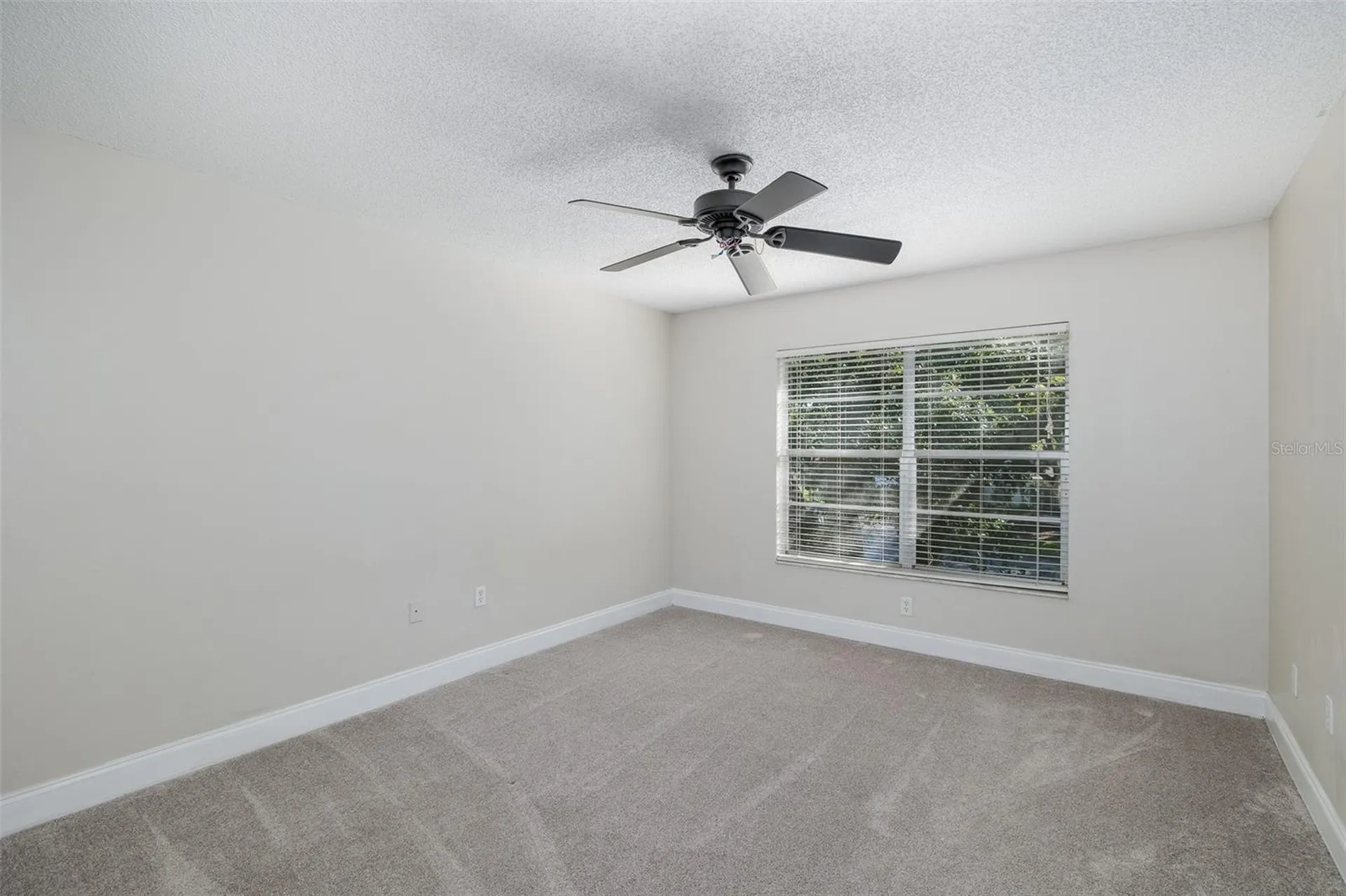 7900 Hardwick Drive New Port Richey FL 34653