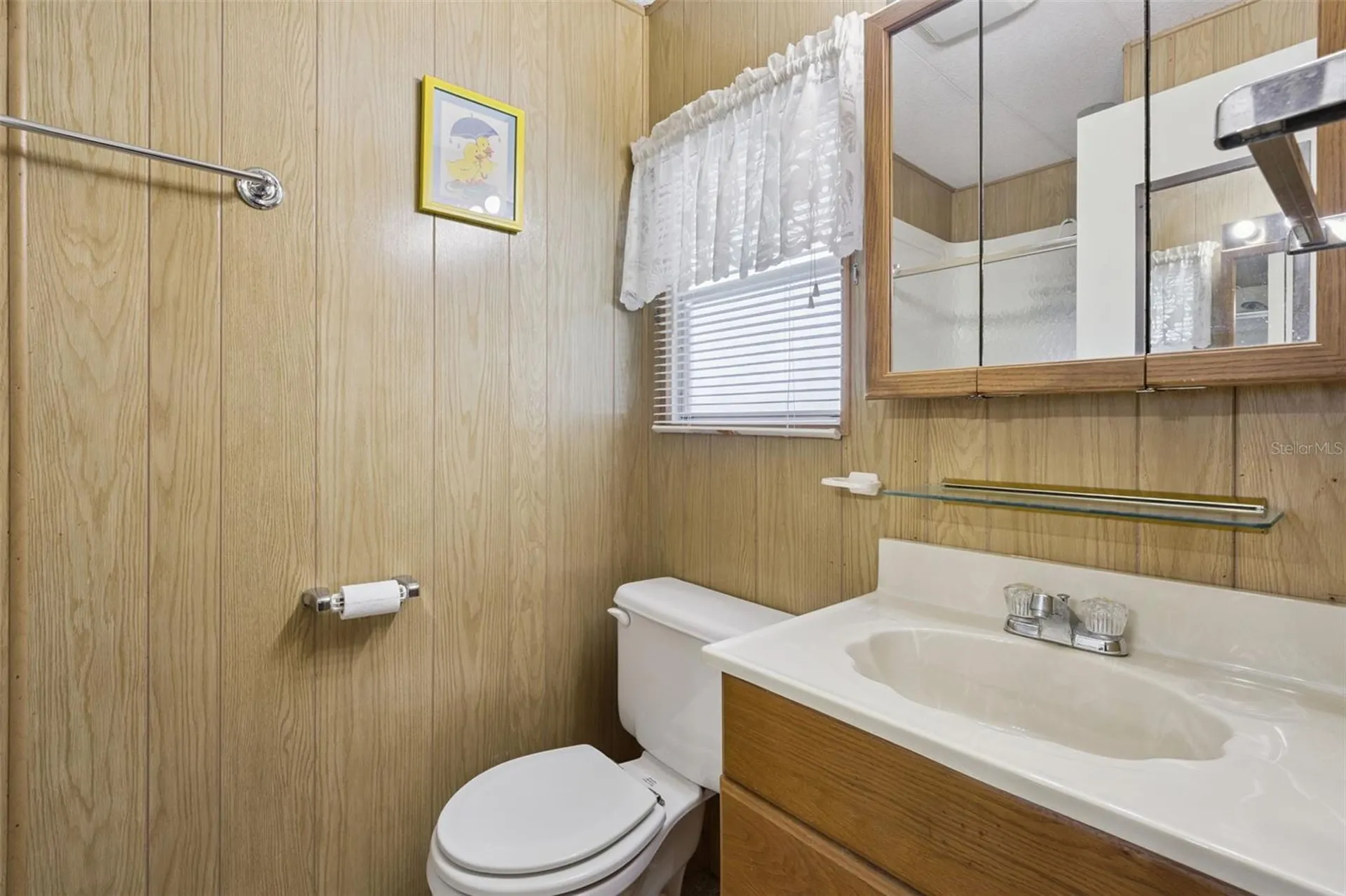 13 Cocos Plumosa Drive Eustis FL 32726