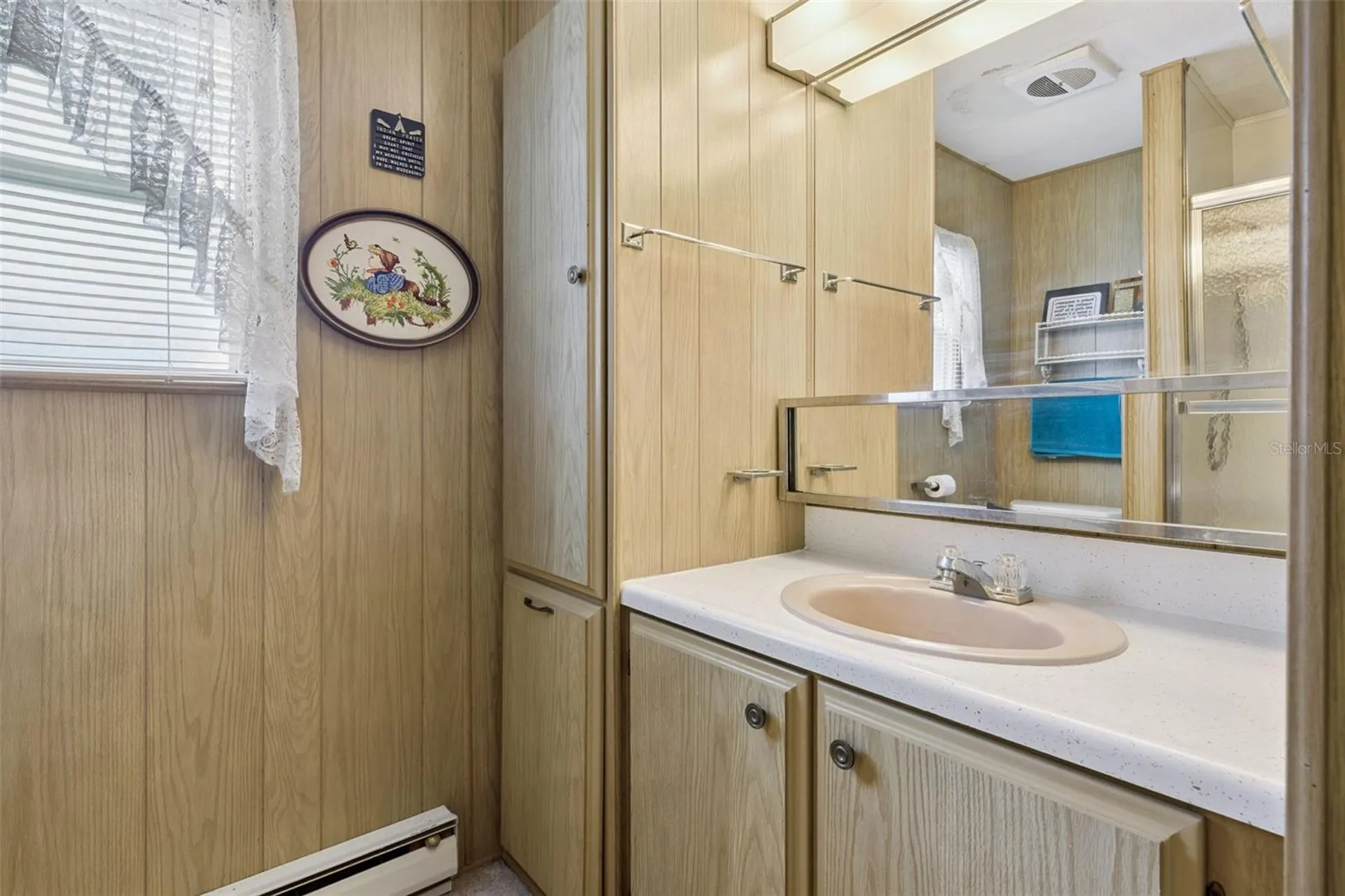 13 Cocos Plumosa Drive Eustis FL 32726
