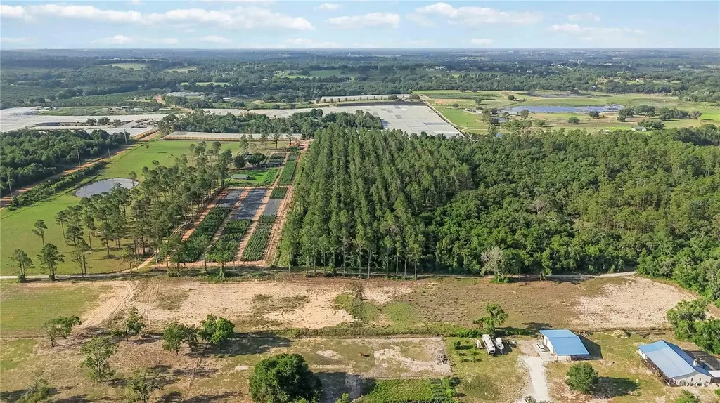 23175 N Buckhill Road Howey In The Hills FL 34737