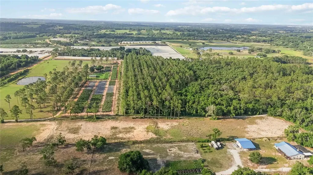 23175 N Buckhill Road Howey In The Hills FL 34737