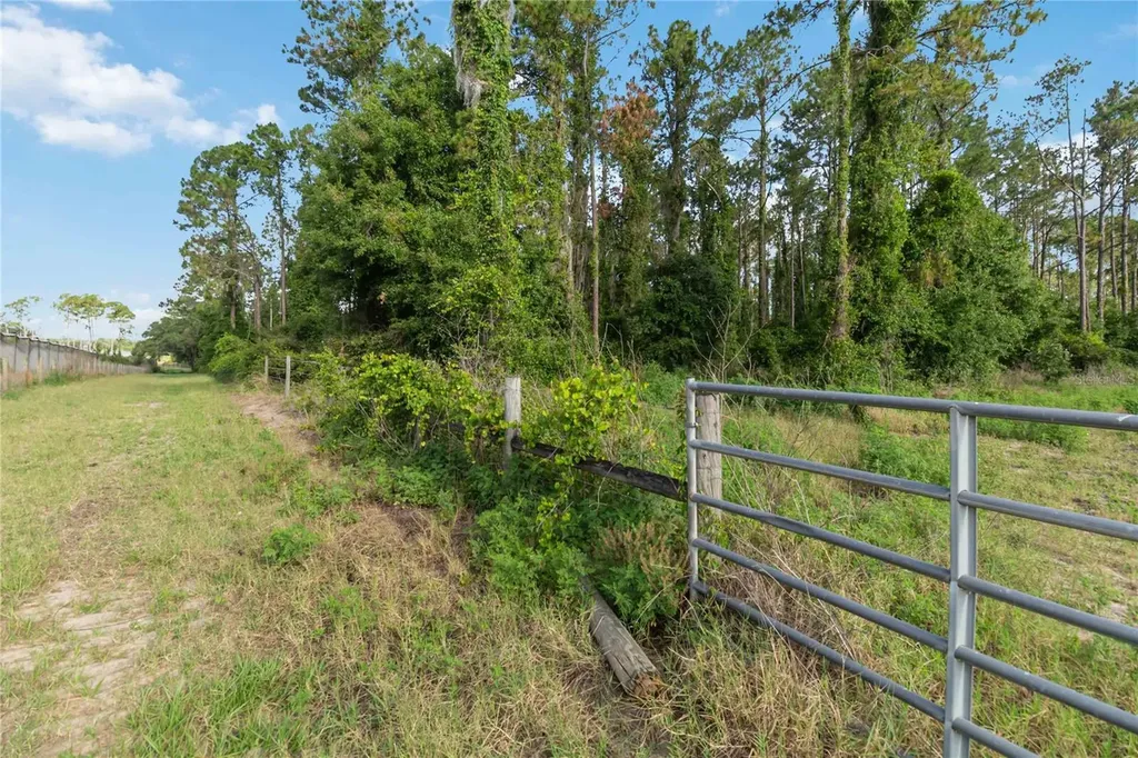 23175 N Buckhill Road Howey In The Hills FL 34737