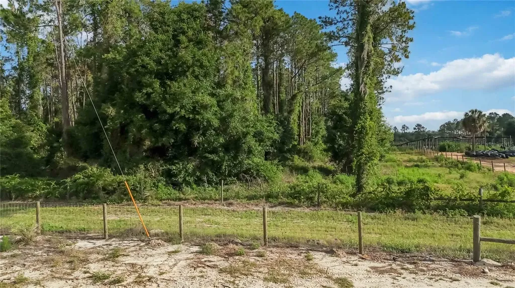23175 N Buckhill Road Howey In The Hills FL 34737