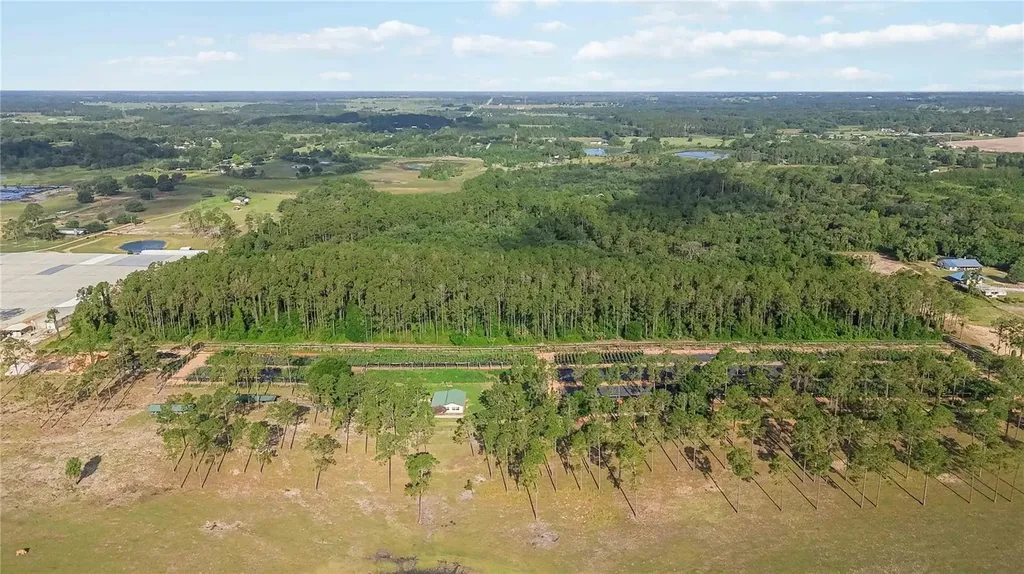 23175 N Buckhill Road Howey In The Hills FL 34737