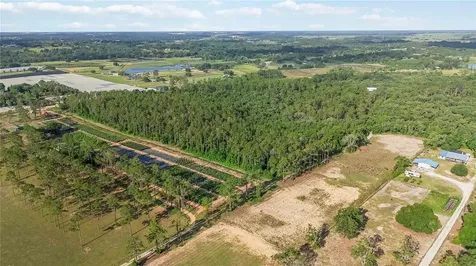23175 N Buckhill Road Howey In The Hills FL 34737