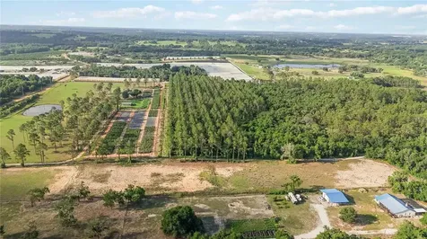 23175 N Buckhill Road Howey In The Hills FL 34737