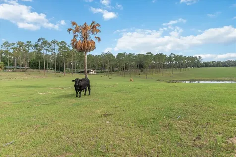 23175 N Buckhill Road Howey In The Hills FL 34737
